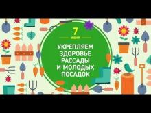 Embedded thumbnail for Вебинар &amp;quot;УКРЕПЛЯЕМ ЗДОРОВЬЕ РАССАДЫ И МОЛОДЫХ ПОСАДОК&amp;quot;